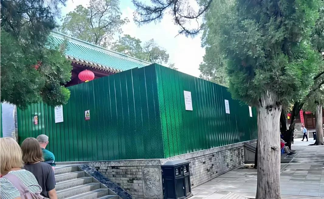 大和尚的方丈院用铁皮围起来了。除了鸟声、蝉鸣，四周没有什么声音。
古树无言，只默