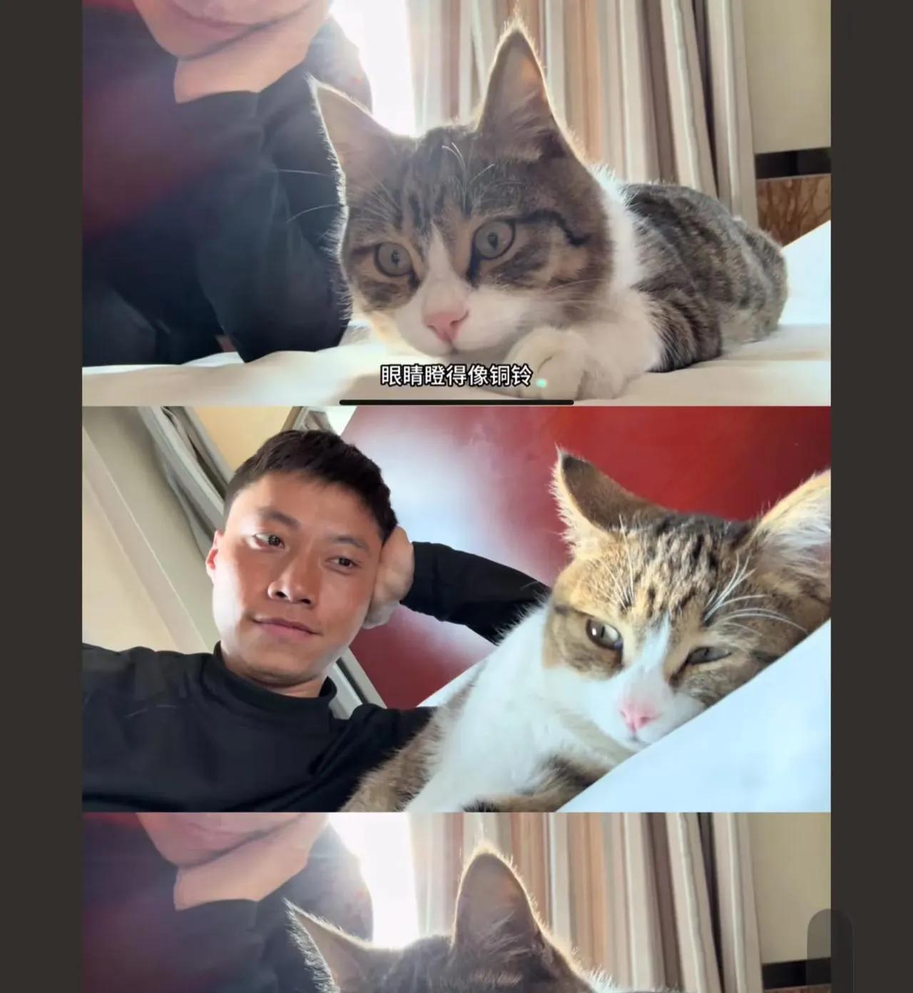 悟空给了师父几百万甚至千万的支票，可是师父没有兑现，他只是把他的爱留给了悟空。