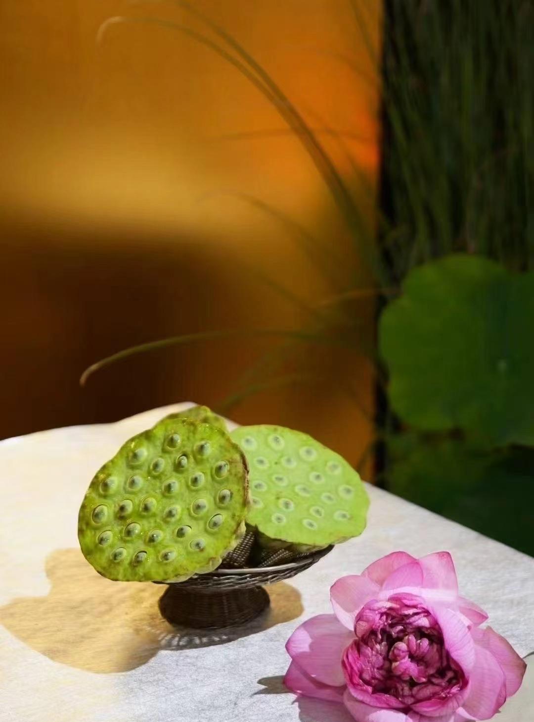一个人如果他不明白自己的敌人是自己，他会把所有的时间都用来埋怨别人或改造别人，这