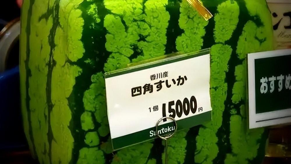 日本炫富“神户牛肉”，迪拜“烤骆驼”，中国网友：都是弟弟！