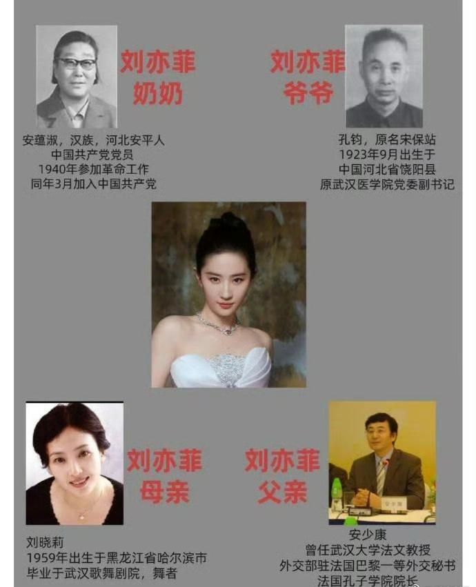 刘亦菲家庭背景引关注，其背后故事似有神秘色彩，让人不禁好奇，这其中究竟有着怎样的