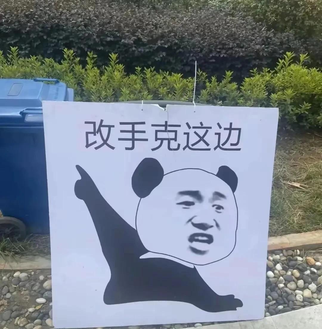 什么意思？哪个地方的方言