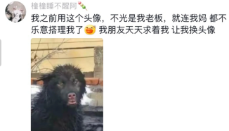  都不乐意搭理我了