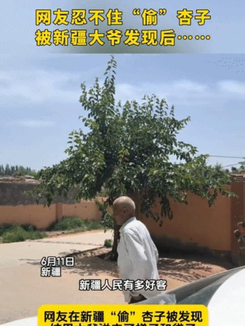 这个大爷火了！新疆，男子和朋友开车自驾旅游，看到大爷家种的杏不错，就偷摘吃了两颗