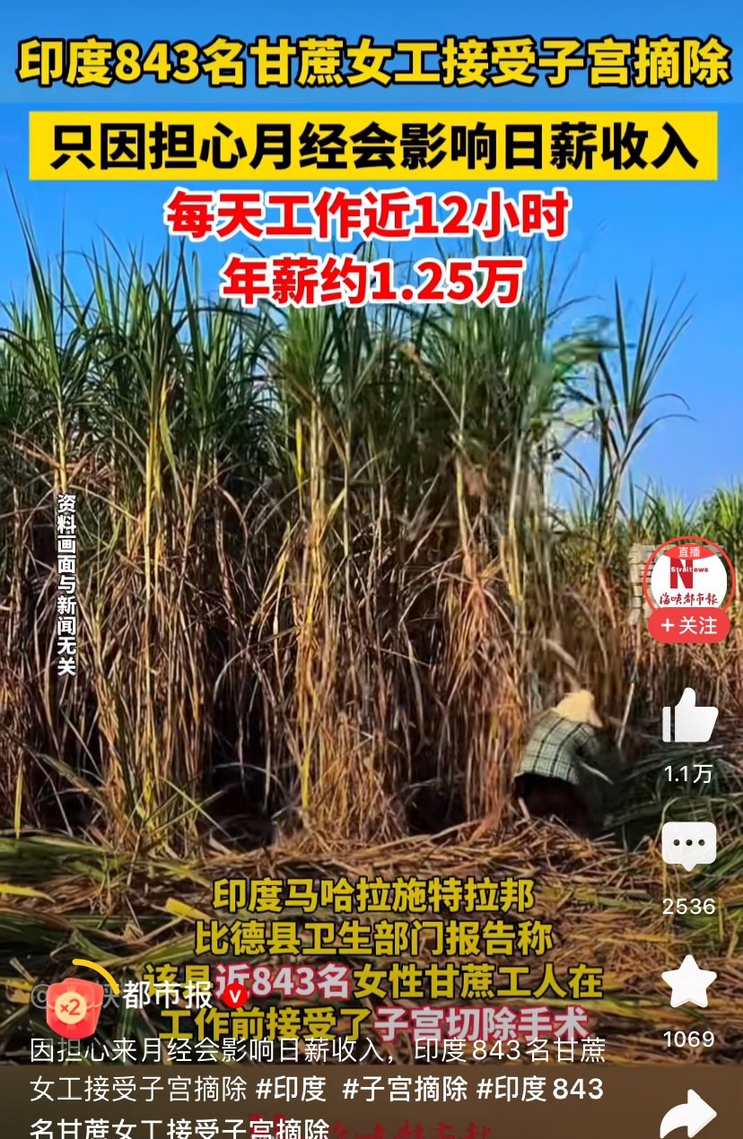 姐妹血泪换日薪，这事儿太扎心











想过吗？有这么一群女人，为了