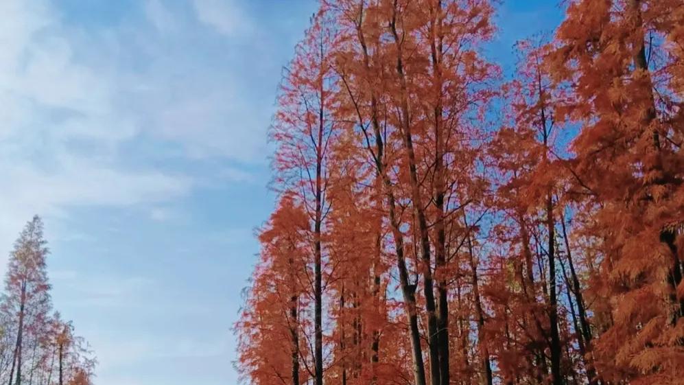 随笔：没有动态的日子都在好好生活