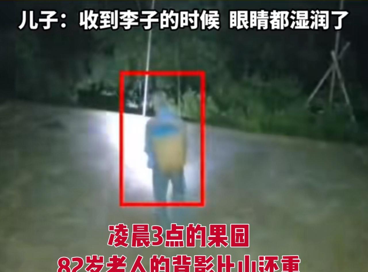 82岁老爹摸黑干苦力，就为儿子尝口“带露的李子”！
重庆82岁老爷子，听说“太阳