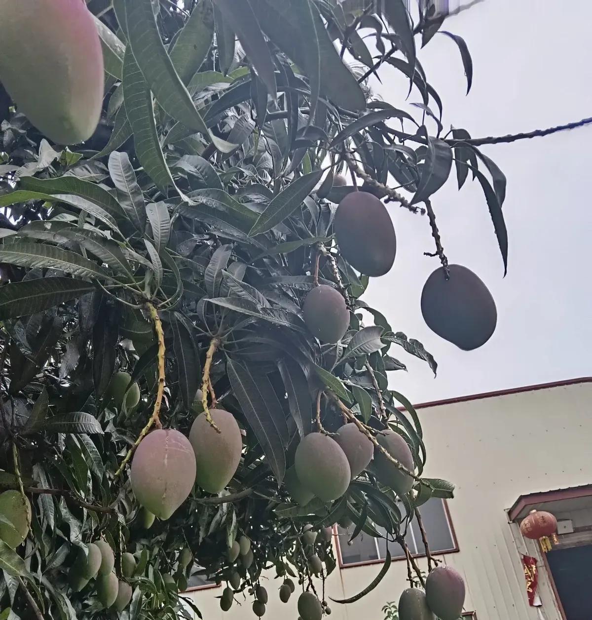 43岁表哥新婚俩月就怂了：“还不如单身痛快！”
当初看他给二婚嫂子忙前忙后置办家