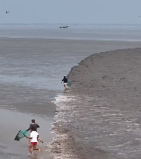 抢潮头鱼也太精彩了