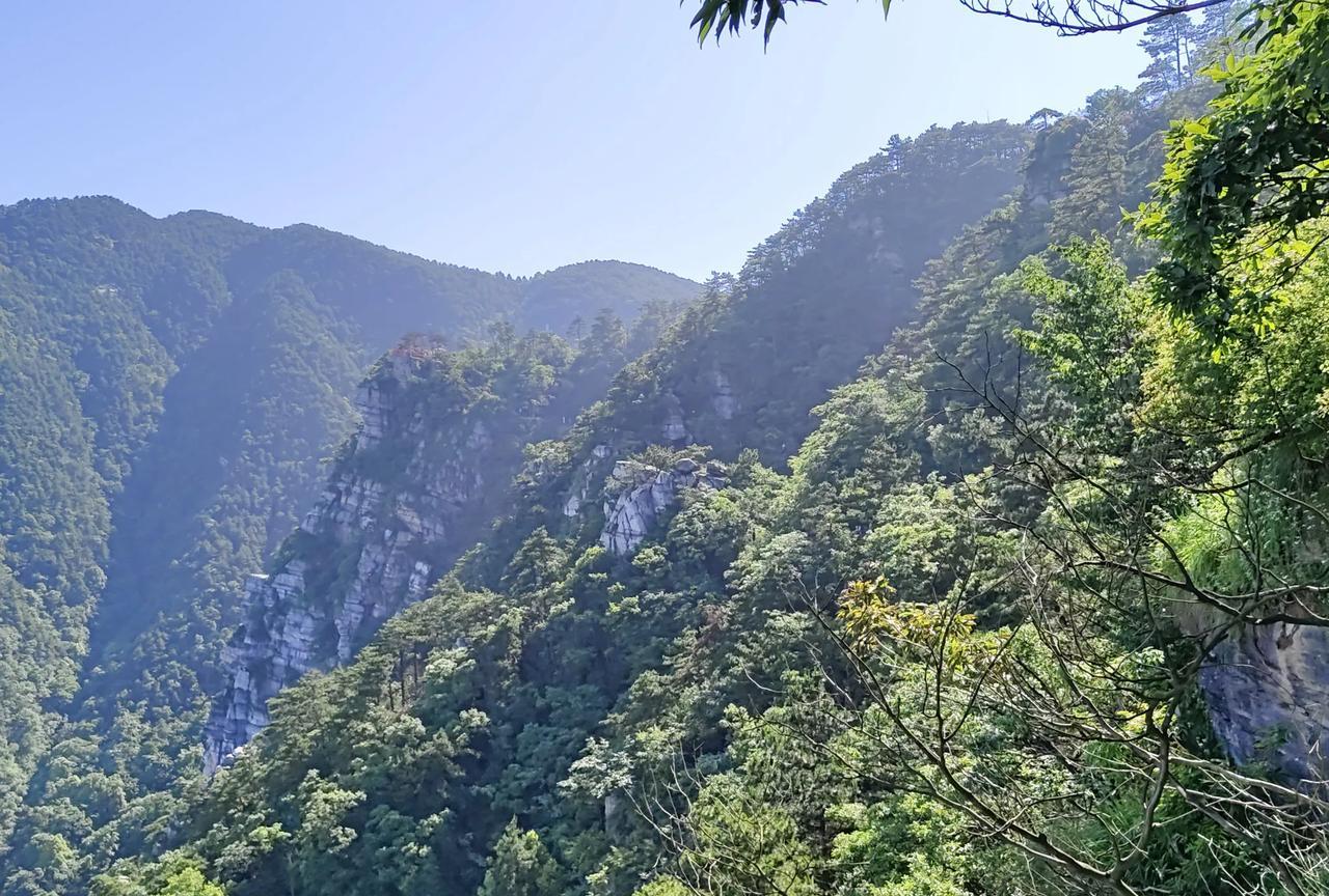 你若不贪，
无人能诱你；
你若不恨，
无人能伤你；
你若不痴迷，
无人能欺骗你；
