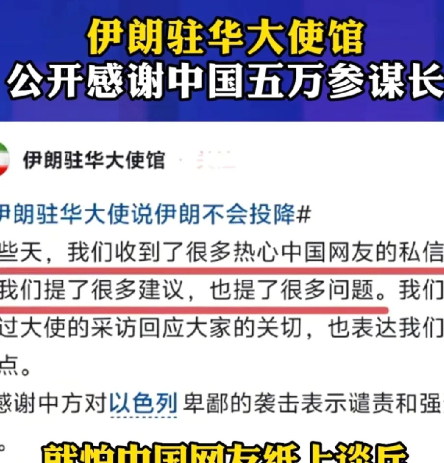 中国网友很受伤，这事儿你怎么看











啥？伊朗大使谢中国网友？这