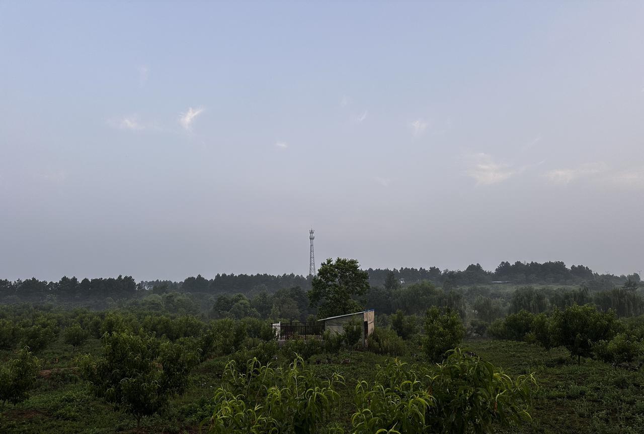 老公又跟人吵架了，因为一个垃圾桶。
上午9点，我俩出门买东西，回来时远远看见农场