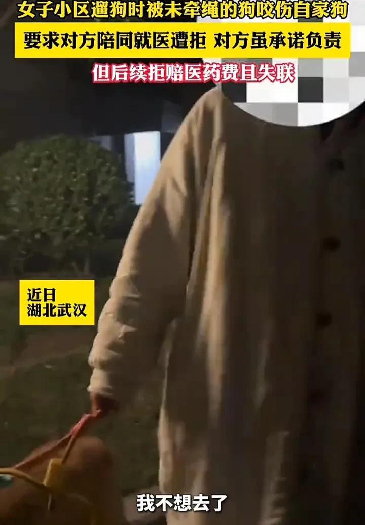 没见过做错事还这么理直气壮的人！近日，湖北武汉一名女子发视频称，自己牵绳在小区遛