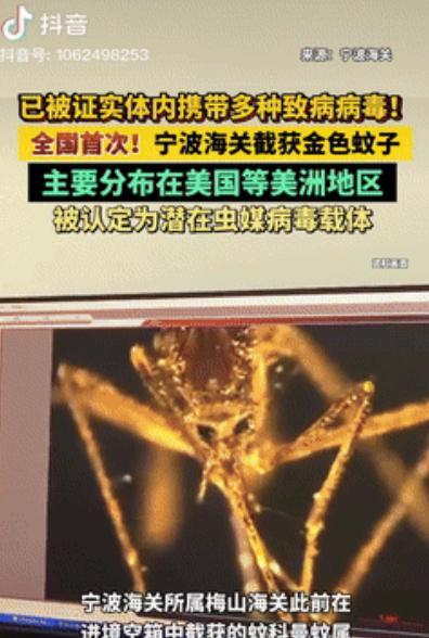 宁波海关的检疫员经常会检查出来很多奇奇怪怪的东西，于是他们看到什么东西也都习以为