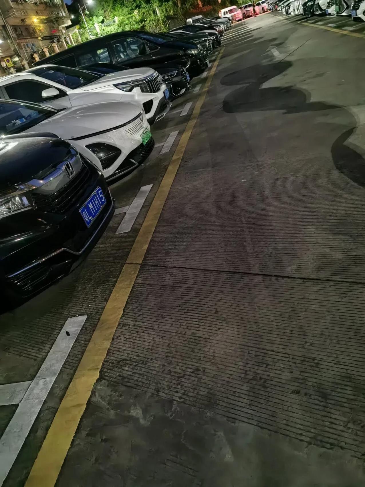 这样的停车场也太垃圾了，迟一天交费就按照临时停车处理，停车场灯也安装，严重影响停