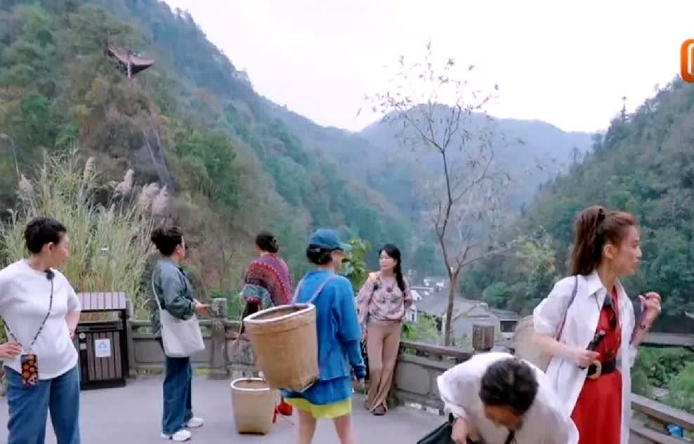 黄圣依在爬山时，背了4瓶代表她人生标签的水，中途她觉得累了就想放下“文化教育”和