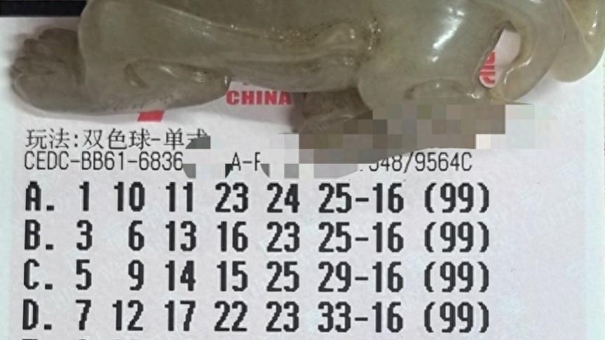 99倍票和单式、复式票均锁定偶数蓝球！谁将斩获头奖？25144期双色球晒票欣赏