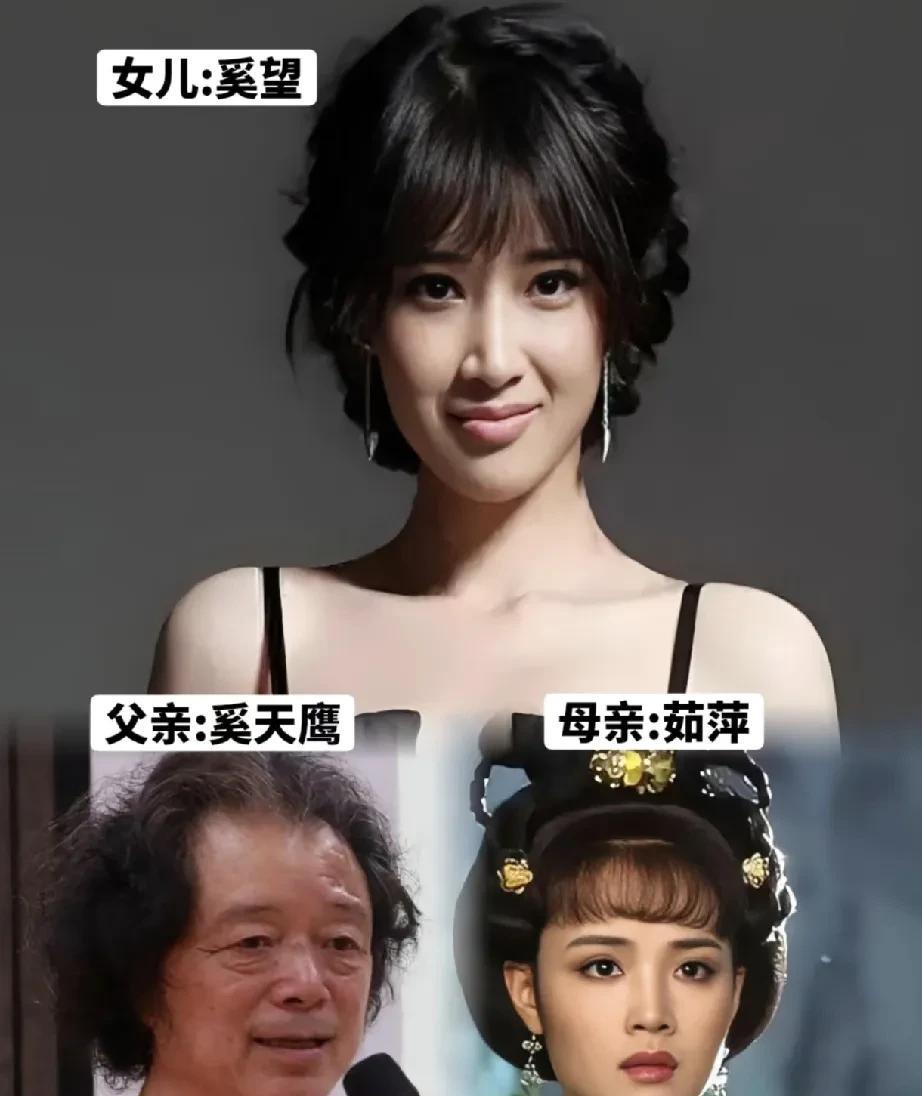 奚望是奚天鹰和著名演员茹萍的女儿，颜值出众，完美吸收了爸妈的优点。
五官精致，眉