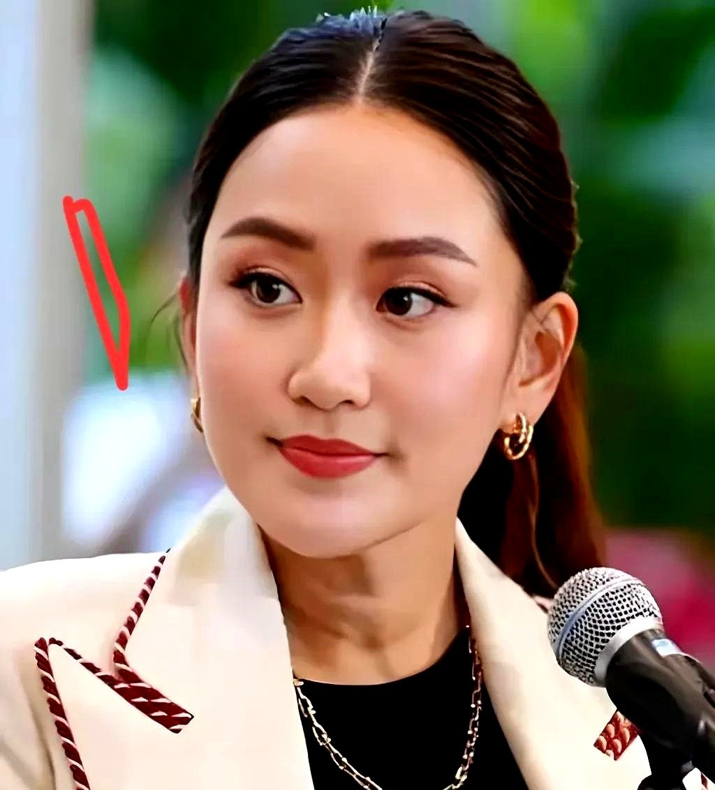 佩通坦太厉害，洪森都怕跟不上











你知道吗？佩通坦简直就是个宝