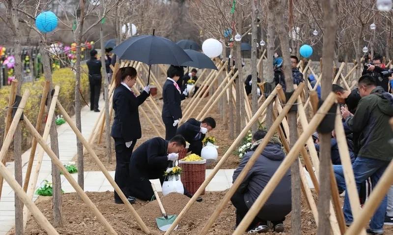 大葬与二次葬的区别及其文化内涵  
在中国传统丧葬习俗中，大葬（血葬）与二次葬（
