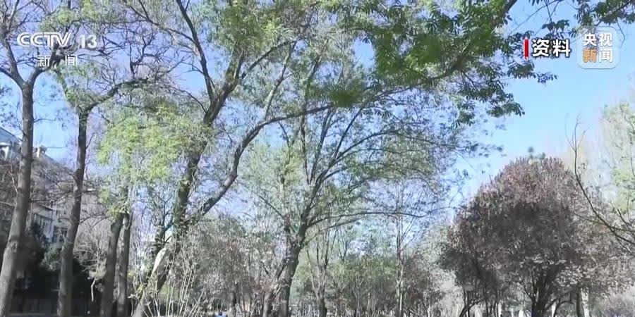 多地气温将达30℃以上，北方局地或有沙尘天气，一周天气速览
清明是一年中气温回