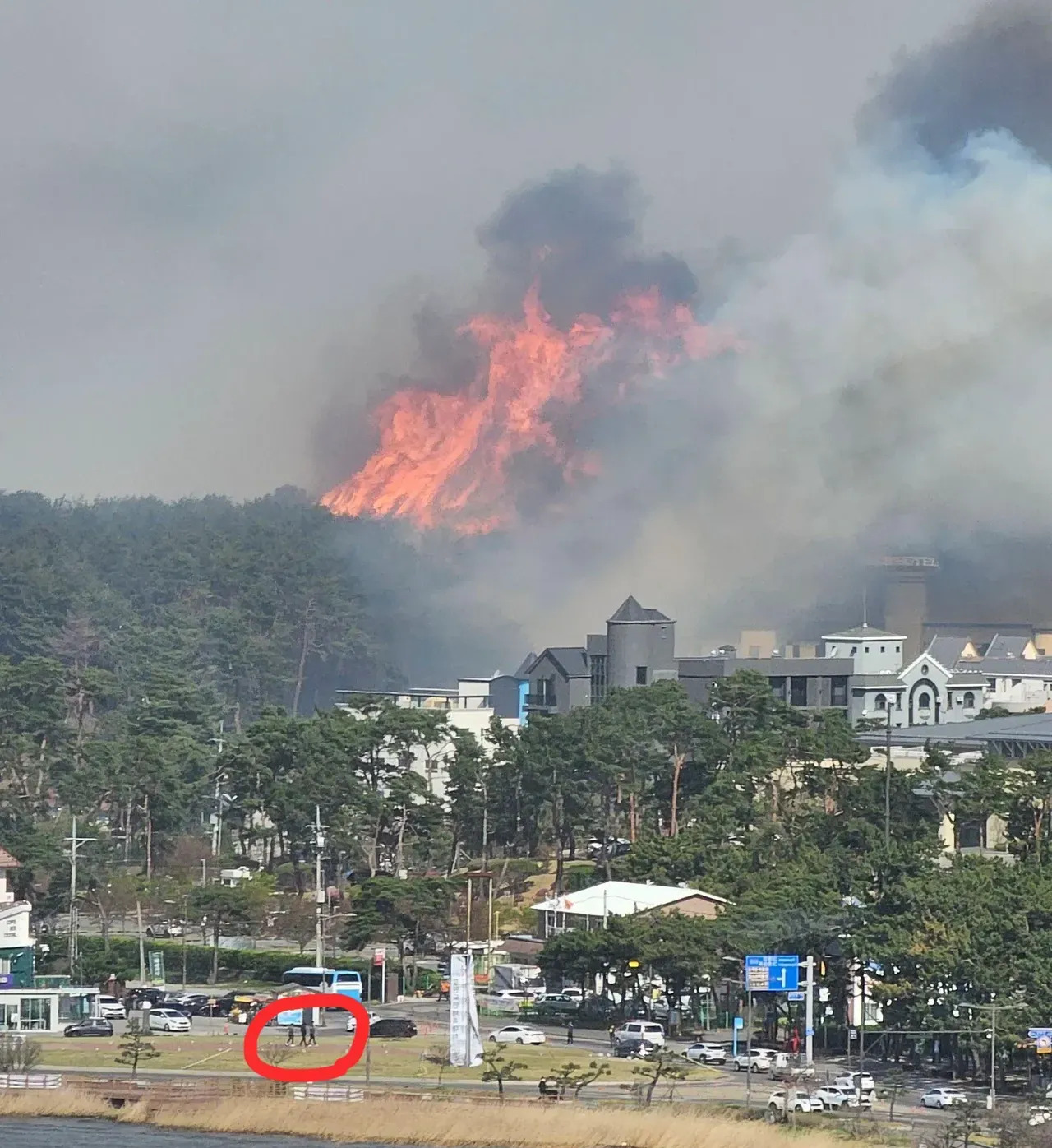 韩国山火处理方式引争议











这韩国是怎么回事？自家着火了不赶紧