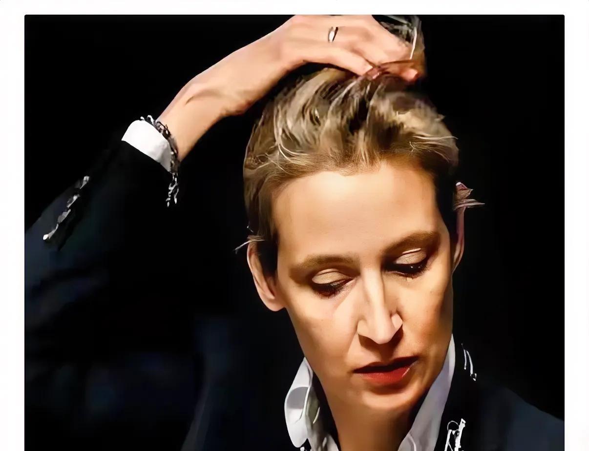 德国在街头举行了大规模的反对右翼的游行，参与人数以万计，然而这次游行能否产生实质