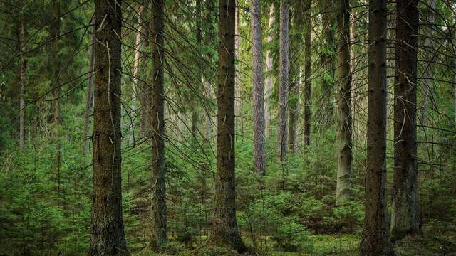 手表玻璃专用丝印烤盘采用高强度 PPS：精密丝印的性能升级核心