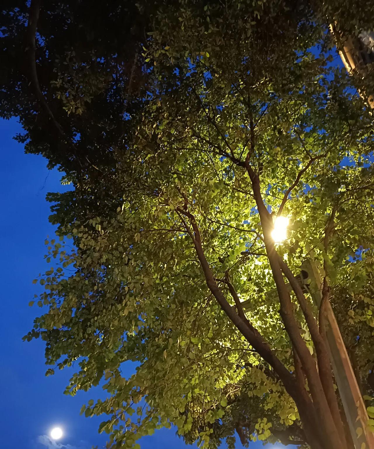 儿子国庆回家是渡劫？
大姨吐槽，表弟一家4口回来过节，空手而归不算，还啥都要她来