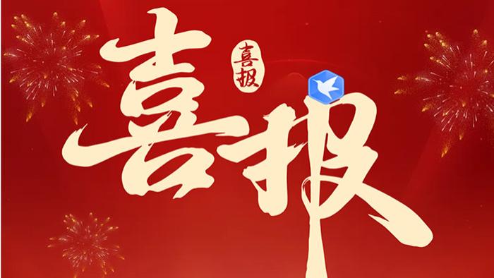 喜报！湖南省商标品牌协会蝉联“2024年度商协会优秀单位”称号