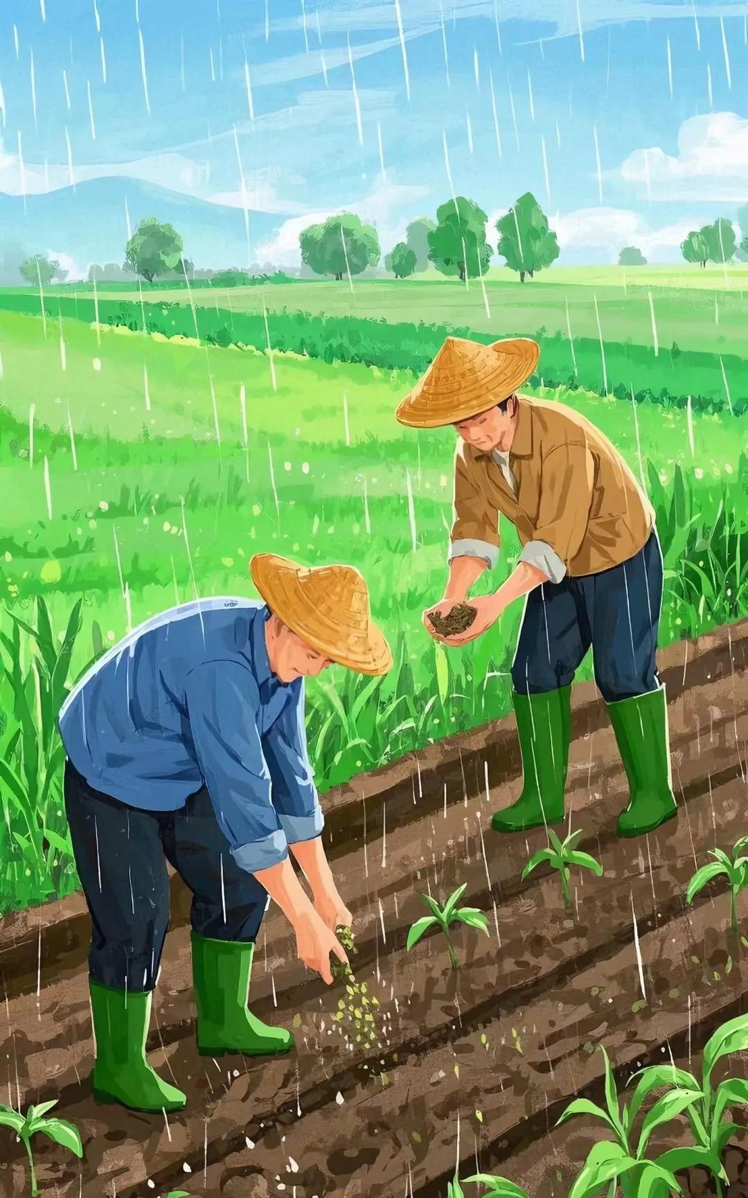 《贵雨》
久旱飘雨贵如油，
农民望雨已无忧。
禾苗有雨产粮高，
…………？
拋砖