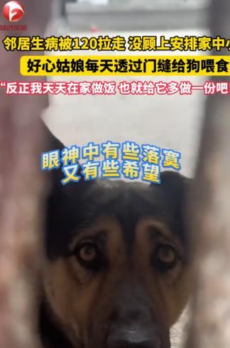 安徽阜阳，邻居被120拉走以后，接下来的两天，女子时常听到邻居家小狗呜咽的声音，
