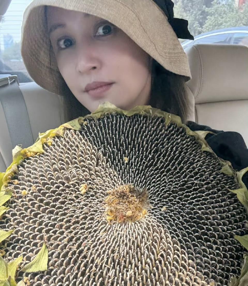#万能生活指南# 袁弘真是个大直男，因为老婆张歆艺看嗑瓜子，直接摘了一大朵向日葵