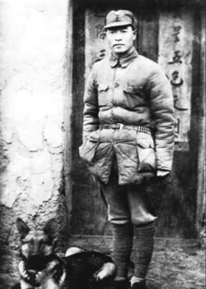 1939年，游击支队穷得只剩3块钱，为度过难关，彭雪枫忍痛卖掉了13匹战马，谁料