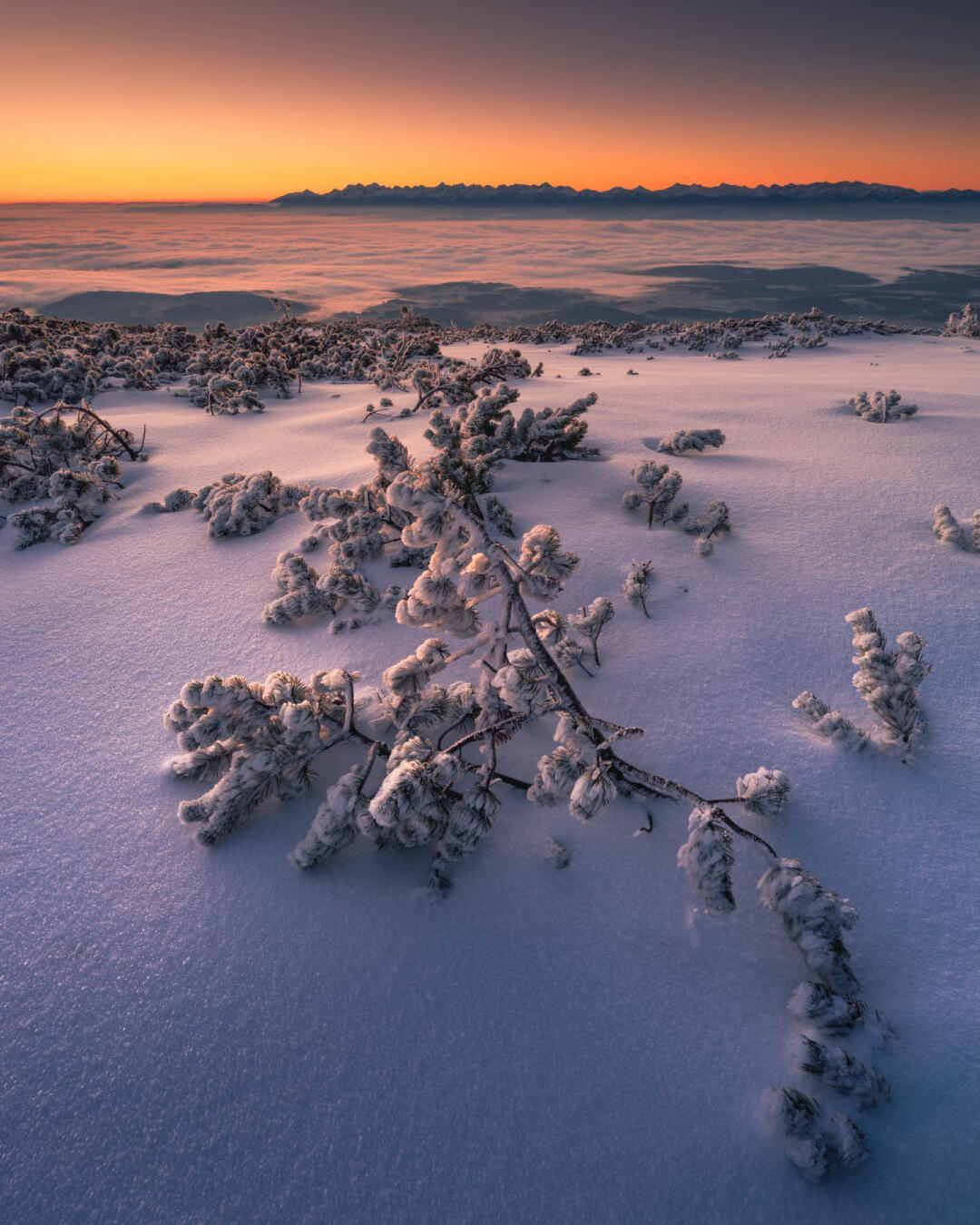 大冬天的喜不喜欢这种雪山