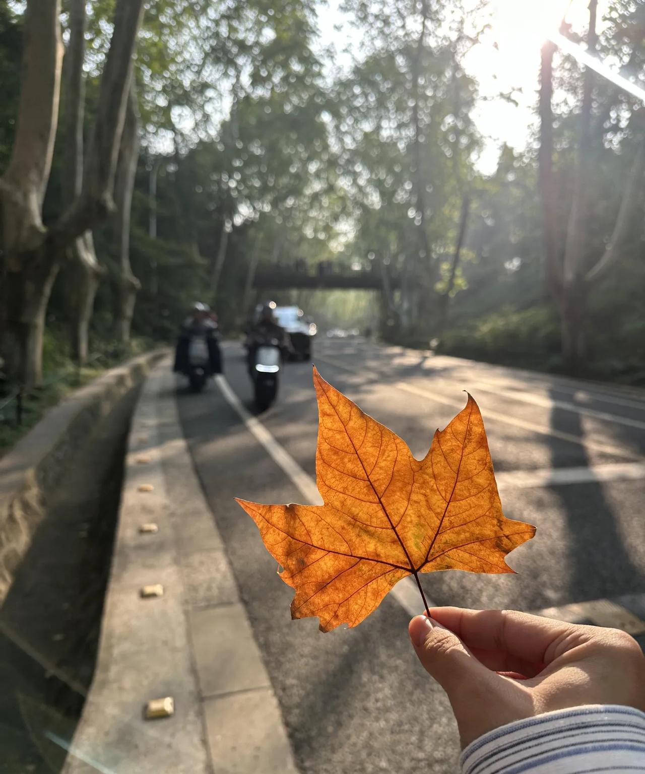 藏在心底许久的一句话，
今天真想扯着嗓子喊出来：
“好想有钱啊！”
看着生活里因