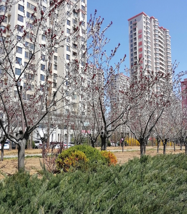婆婆对媳妇不好，
等婆婆老了该以德报怨吗？
相信很多姐妹都有同款烦恼。

回忆一
