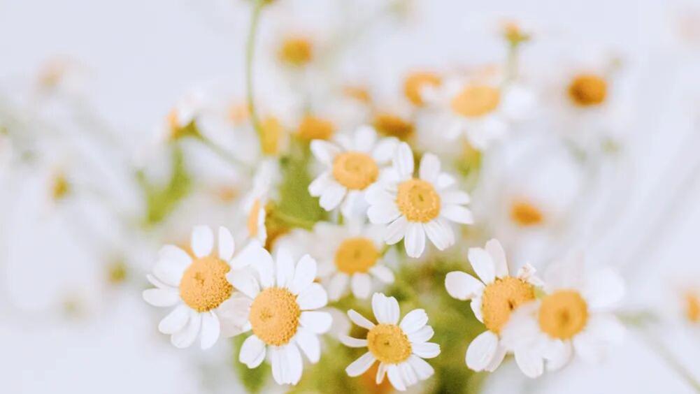 见刊的论文可以撤稿吗？答案是：可以，但并不建议