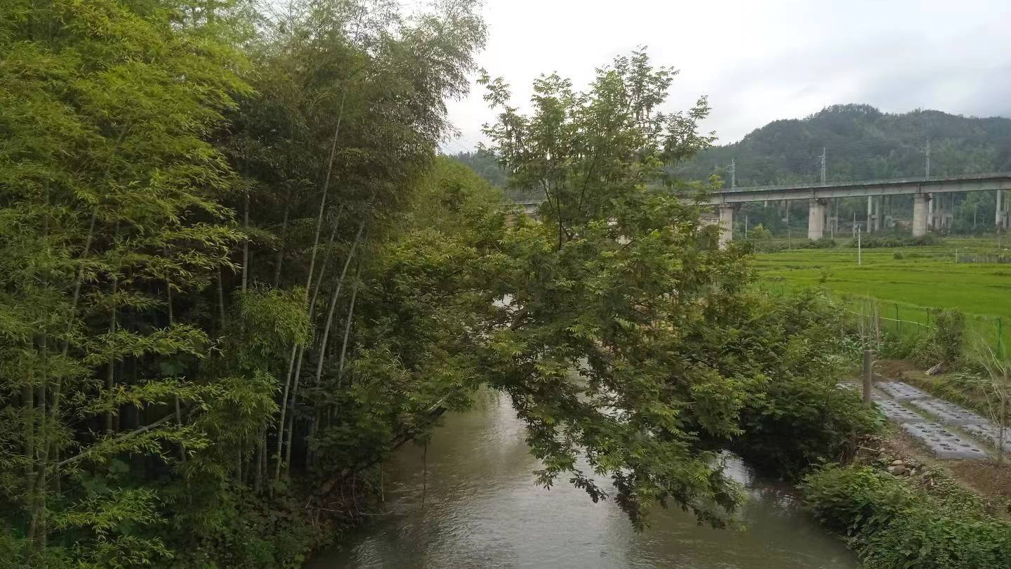 端阳喜伴小溪河，独有诗心迷远足——徒步小溪河散记（三）