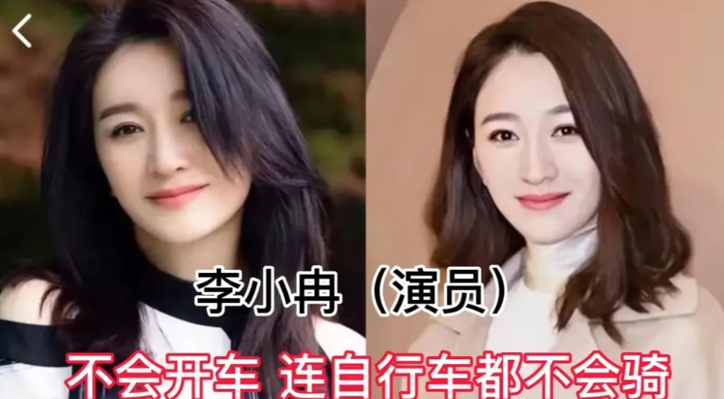 不会开车的10位明星，郭德纲开车靠人推，范丞丞考了两次都没考过
第1位:李小冉