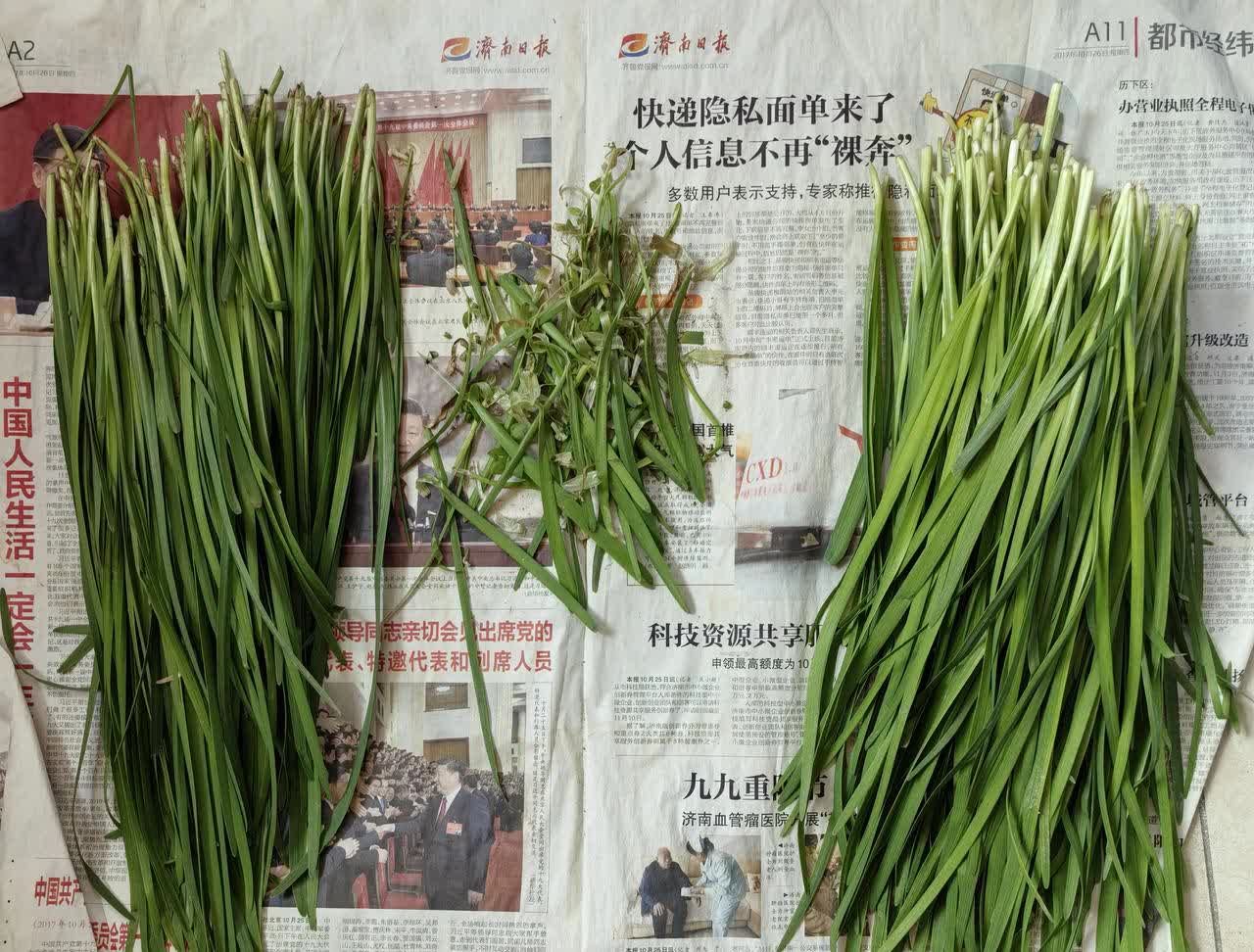 今天开始准备把冬天穿的衣服洗净晾干收起来。看到成堆的衣服幸亏有洗衣机帮忙，不然的