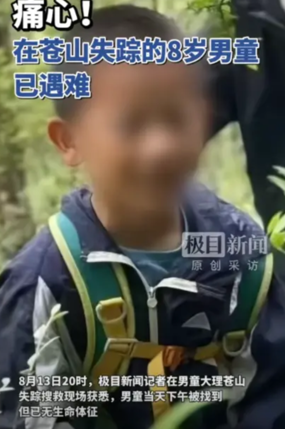 最不愿看到的事实，还是发生了！大理苍山走失的8岁自闭症男童找到了，可惜已不幸离世