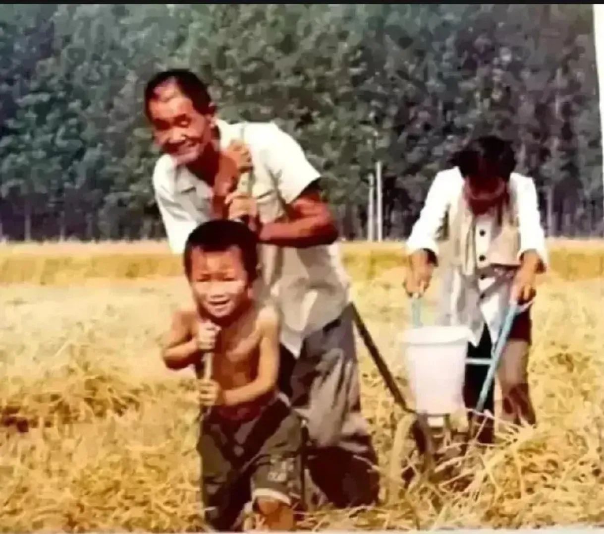 我对分田单干最深刻的记忆