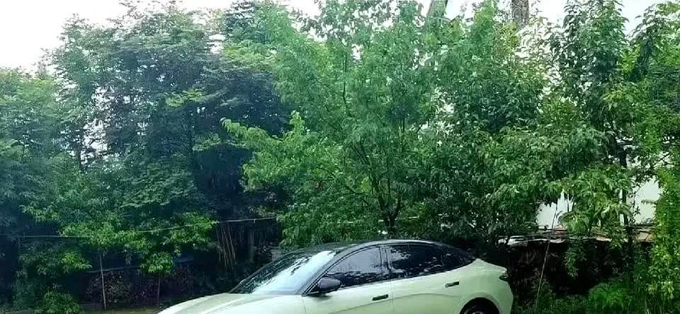 电车车主现在怕是连油门都不敢踩了。

去年花二十万提的极氪001，首保没做就