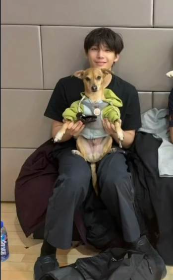 王安宇这张图里，抱着这只很萌的小狗，好温暖啊！ ​​​