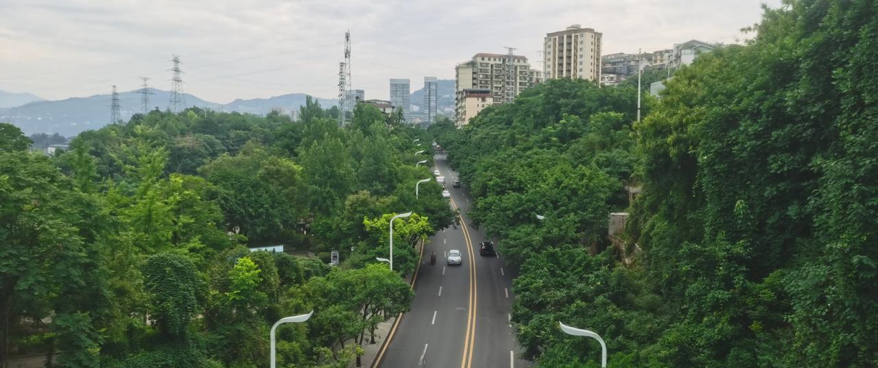 高三补课能不能提高成绩，难说。
问题是，大家都在补课，你敢不去吗？
高三拼的就是