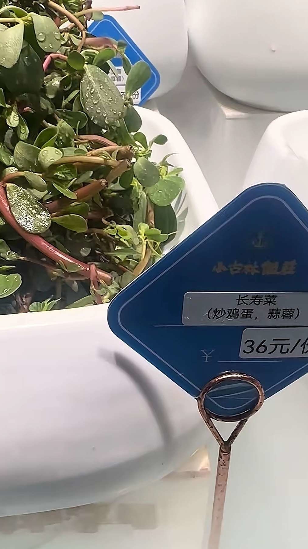 我以为我眼瞎了…直到看到这一幕，有何感想？你们那把这个叫什么？