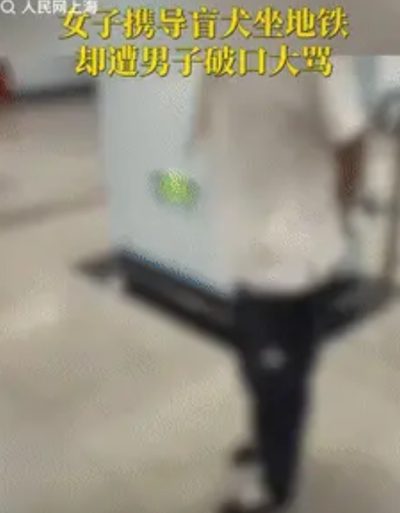 “缺德到家了！”上海一视障女子带着导盲犬乘坐地铁时，遭到乘客大爷破口大骂，女子耐