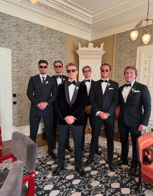 新郎猫和伴郎驴