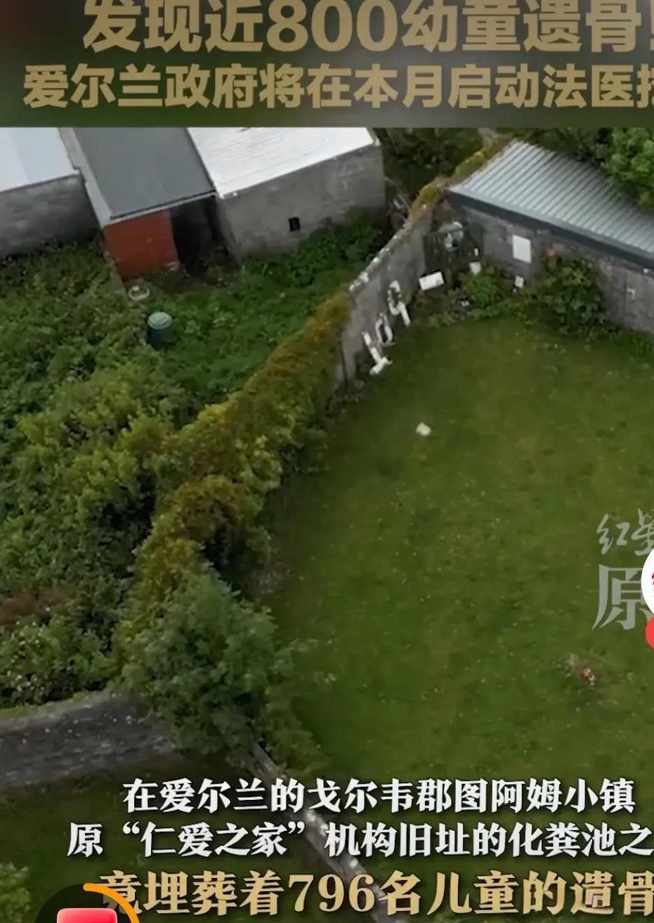 爱尔兰戈尔韦郡图阿姆小镇化粪池之下，近800具幼童遗骸的惊世发现，在历史的沉寂里